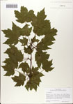 000083027-thumbnail.jpg