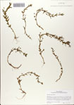 000083046-thumbnail.jpg