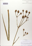000083049-thumbnail.jpg