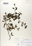 000083052-thumbnail.jpg