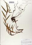 000083069-thumbnail.jpg