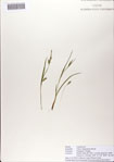 000083077-thumbnail.jpg