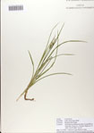 000083078-thumbnail.jpg