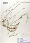 000083082-thumbnail.jpg