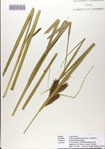 000083084-thumbnail.jpg