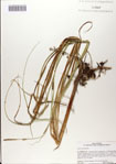 000083087-thumbnail.jpg