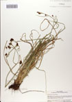 000083093-thumbnail.jpg