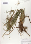 000083095-thumbnail.jpg