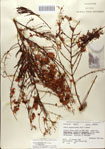 000083158-thumbnail.jpg