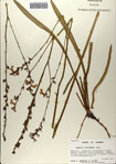 000083196-thumbnail.jpg