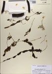 000083203-thumbnail.jpg