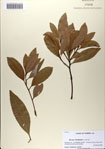 000083208-thumbnail.jpg