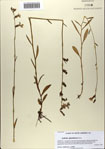 000083215-thumbnail.jpg