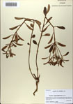 000083217-thumbnail.jpg