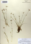 000083221-thumbnail.jpg