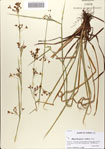 000083229-thumbnail.jpg