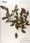 000083260-thumbnail.jpg