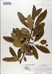 000083276-thumbnail.jpg