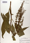000083295-thumbnail.jpg