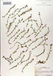 000083305-thumbnail.jpg