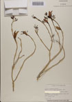 000083344-thumbnail.jpg