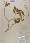 000083346-thumbnail.jpg