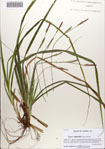 000083595-thumbnail.jpg