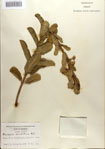 000083638-thumbnail.jpg