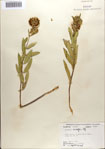 000083640-thumbnail.jpg