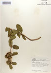 000083641-thumbnail.jpg