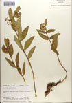 000083643-thumbnail.jpg