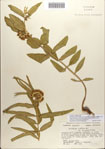000083644-thumbnail.jpg