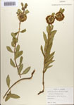 000083645-thumbnail.jpg