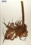 000083826-thumbnail.jpg