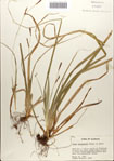 000084016-thumbnail.jpg