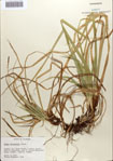 000084017-thumbnail.jpg