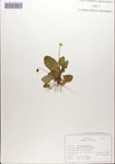 000084235-thumbnail.jpg