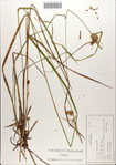 000084258-thumbnail.jpg