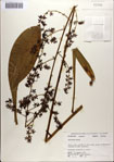 000084374-thumbnail.jpg