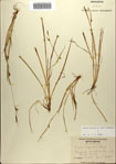000084400-thumbnail.jpg