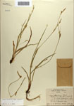 000084401-thumbnail.jpg