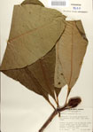 000084426-thumbnail.jpg