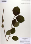 000084446-thumbnail.jpg
