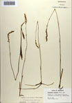 000084564-thumbnail.jpg