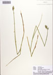000084691-thumbnail.jpg