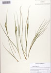 000084694-thumbnail.jpg