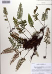 000084848-thumbnail.jpg