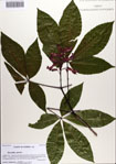 000084857-thumbnail.jpg