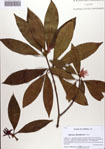 000084858-thumbnail.jpg