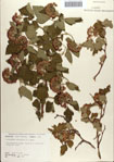 000085840-thumbnail.jpg
